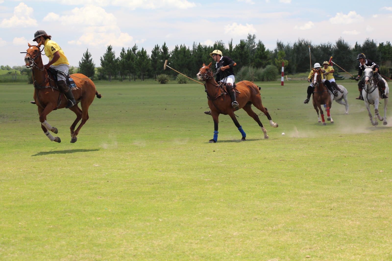 Polo Day
