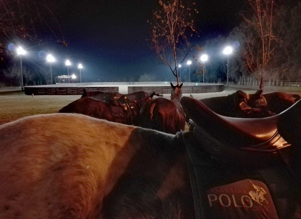 Polo Night